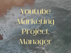 Youtube Marketing Project Manager 📹