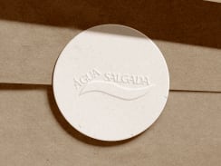 Água Salgada | Brand Identity and Strategy
