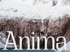 Anima Travels - Web Design (Framer)
