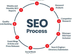  SEO optimization Work for a Newly Launched Website