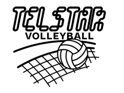Custom Lettering and Graphic Design for Telstar Volleyball Team