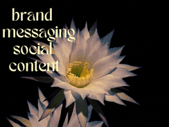 Candid Brand Messaging Guidelines + TikTok Strategy/Execution 