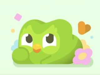 Duolingo Widget Promo Newsletter