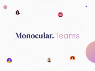 Monocular Teams
