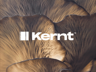 Visual Identity for Kernt™