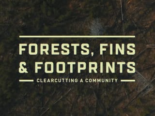 Forests, Fins & Footprints.
