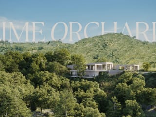 Lime Orchard | Property Branding + Website