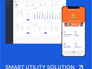 LoRA based Smart Water Meter Solution in Laravel and Vue.js 