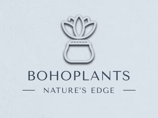 Boho Plants Branding | Kittl