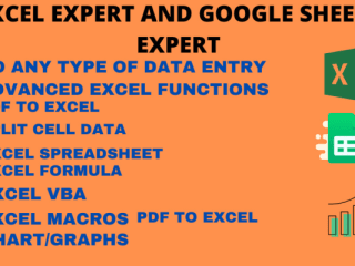 I will microsoft excel expert, ms office, ms word, data entry, …