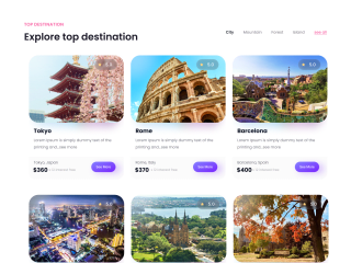 Travel Agency Website Project