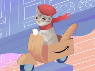 Amazon's Creator Cat