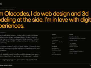 Olacodes | Web Designer | 3D modeller