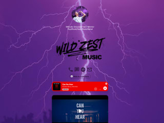 Wild Zest: Brand Cohesion & Social Media Optimization
