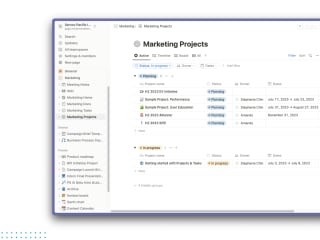 Notion Custom Project Management System