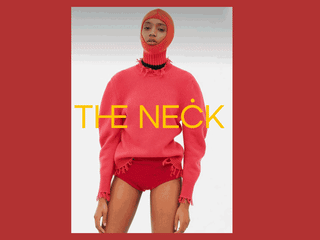 THE NECK