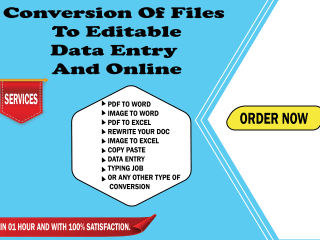 I will do dataentry,convert, image to word, PDF to word, rewrite