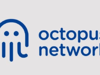 Layer 1 Leverage Trade (without Leverage): Octopus Network