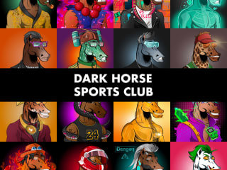 Dark Horse Sports Club on Behance