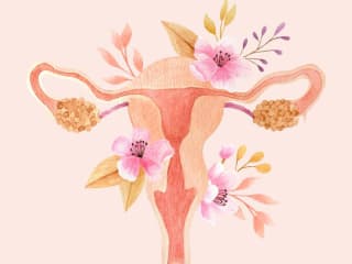 Facts About Vaginas You Probably Didn't Know