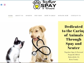 Together Spay It Forward- Non-Profit