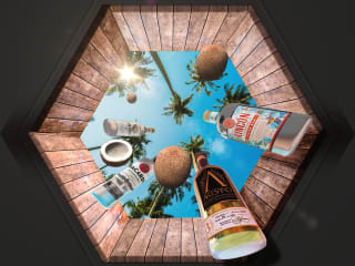 Anamorphic 3d billboard Rums of Puerto Rico campaign :: Behance
