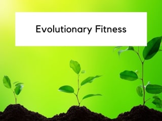 What is Evolutionary Fitness and How is it Measured?