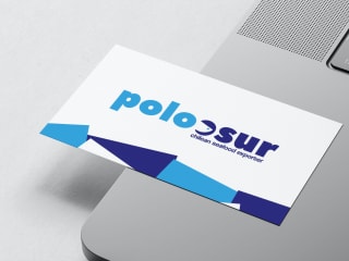POLO SUR | Building a Brand Identity 