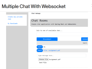 Multiple Chat With Websocket