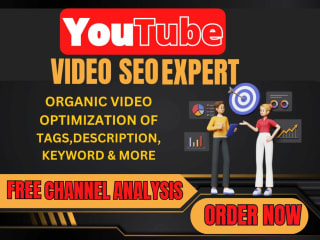 YouTube video SEO Optimization specialist and channel manager