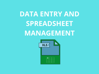 Data Entry and Spreadsheet Management - Sample