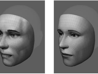Using the Meta Spark Studio Face Reference Assets
