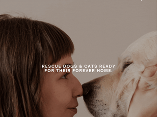 🐾🤖 Ai-Powered Innovative Pet Adoption Chatbot Solution