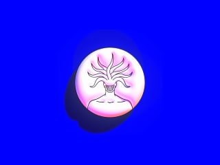 the blue envy Logo