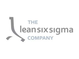 Copywriting for Digital Growth- The Lean Six Sigma Company