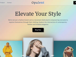 Opulent Fashion Designing Landing Page 