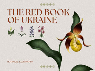 The Red Book of Ukraine 