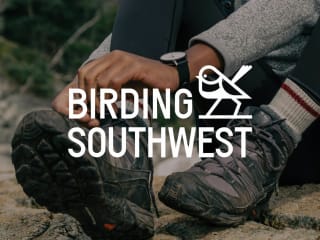 Birding Southwest – Branded Web Design