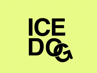 Brand Identity and Logo Ice Dog