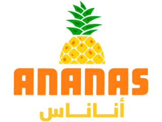 Website Development & Design & Brand Refresh l Ananas