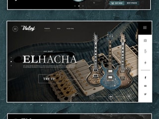 Valoy Guitars - Website