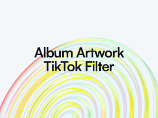Album Artwork TikTok Filter