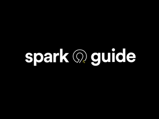 Group Nine Spark Guide | Consumer Trends Report