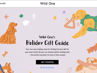 Wild One Holiday Gift Guide