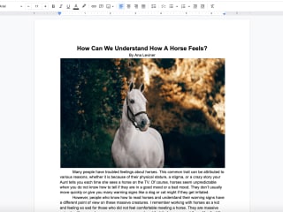 How can we understand how a horse feels