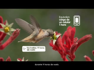 EPM (Hidroituango) - Santander - Nature 