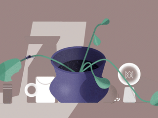 Seed & Stem ( Plant Care Tips ) :: Behance