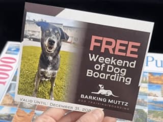 Custom Gift Certificates for Barking Muttz