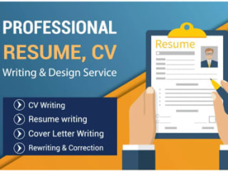 Pro Resume Writer