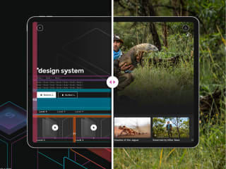 Design System - Streaming Platform